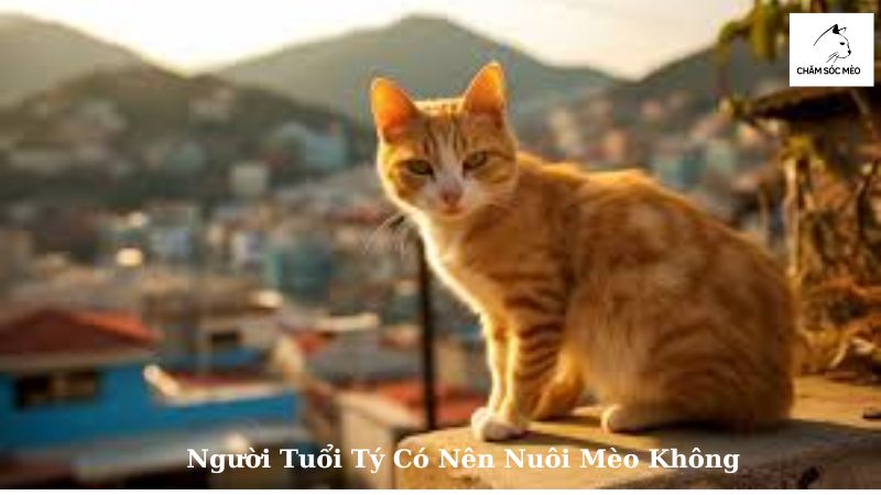 Người Tuổi Tý Có Nên Nuôi Mèo Không